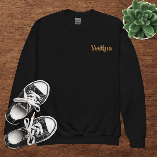 Yeshua Embroidered Youth crewneck sweatshirt